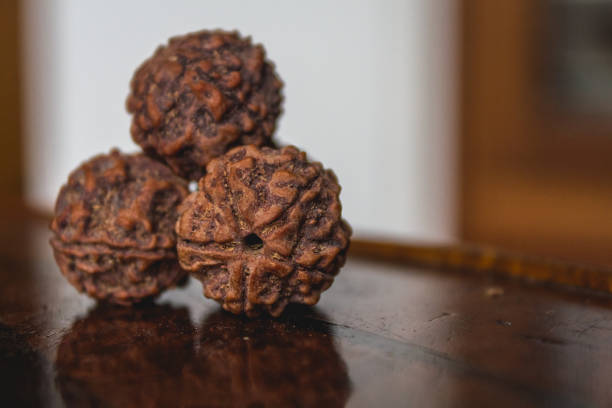 5 Mukhi Rudraksha Bannerghatta Road