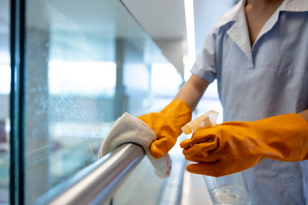 Professional Apartment Cleaning