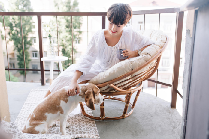 Pet-Friendly Vacation House